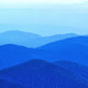 Meet your Posher, Alexander